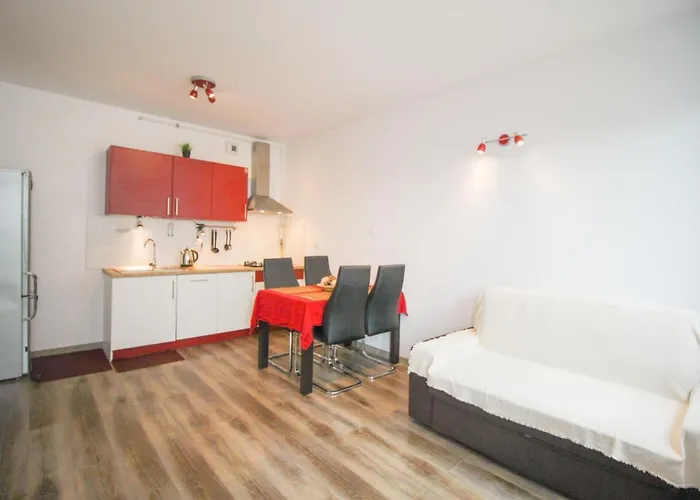 Apartament Lublin Stare Miasto „Wild Cat Ii”